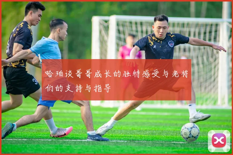 哈珀谈哥哥成长的独特感受与老将们的支持与指导