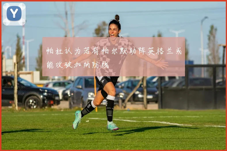 帕杜认为若有帕尔默助阵英格兰或能攻破加纳防线